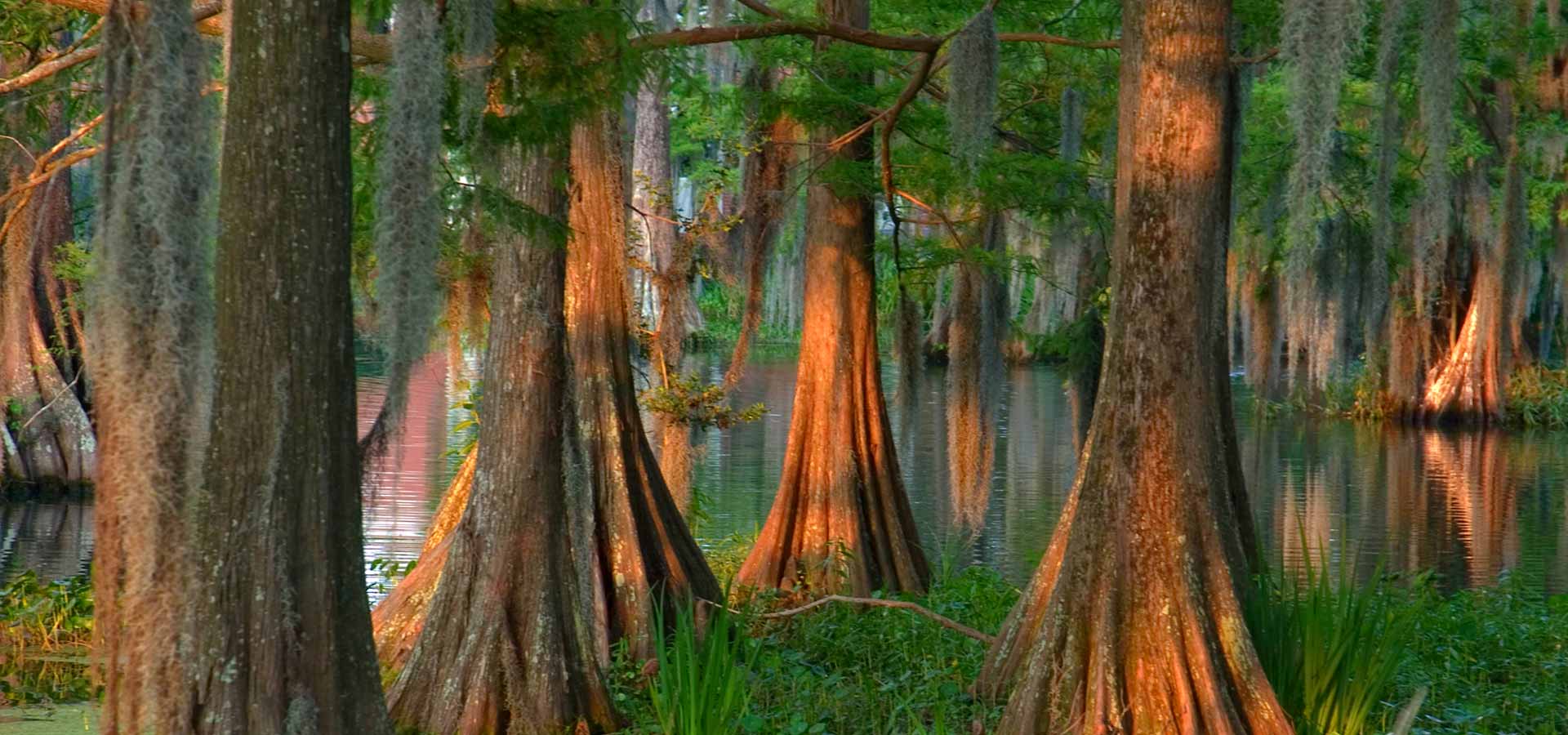 Louisiana Land Conservation Assistance Network